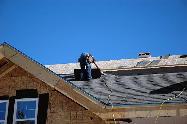 Best Roof Gutter Cleaning  in Edneyville, NC