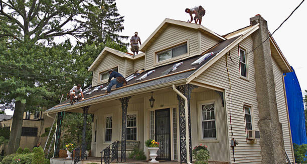Best Emergency Roof Repair  in Edneyville, NC